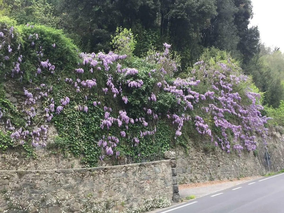 Appartamento La Piccola Oasi Toscana Bagni di Lucca